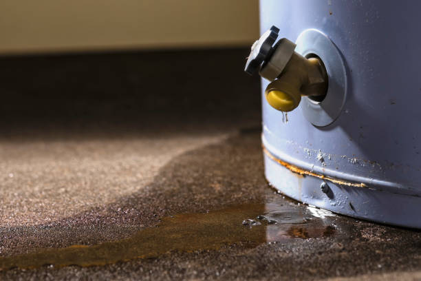 Best Flood restoration services  in Hoxie, KS