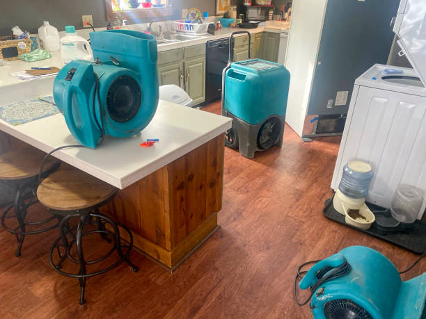 Best Water damage cleanup near me  in Hoxie, KS