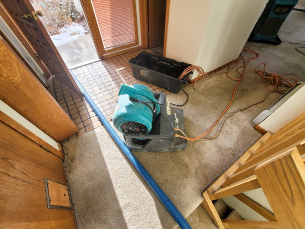Best Water damage restoration cost  in Hoxie, KS