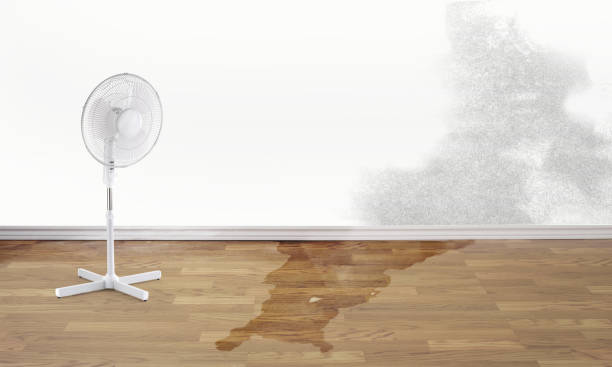Best Professional water damage repair  in Hoxie, KS