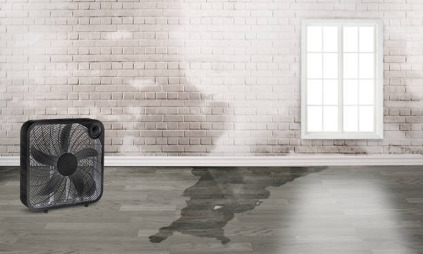 Best Water damage restoration specialists  in Hoxie, KS