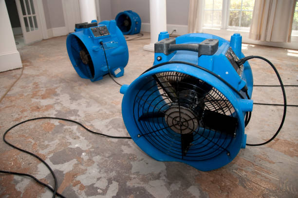 Hoxie, KS Water damage restoration Pros