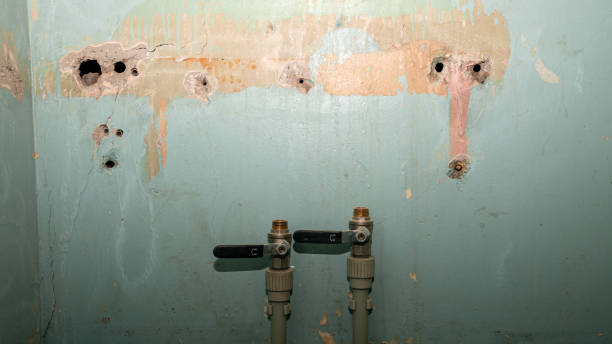 Best Fire Damage Restoration  in Hoxie, KS