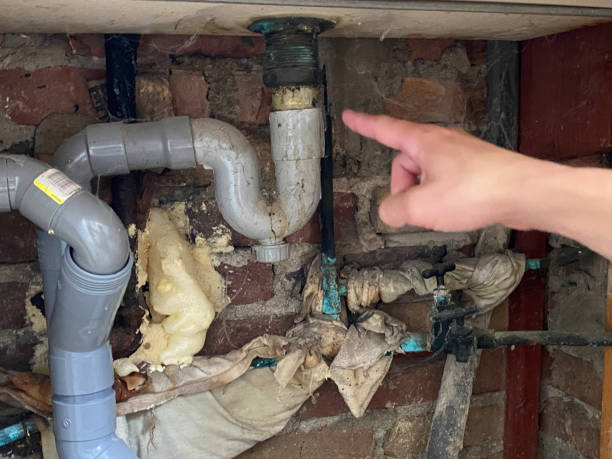 Best Basement water damage restoration  in Hoxie, KS