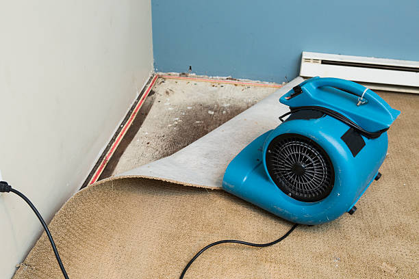Best Mold removal after water damage  in Hoxie, KS